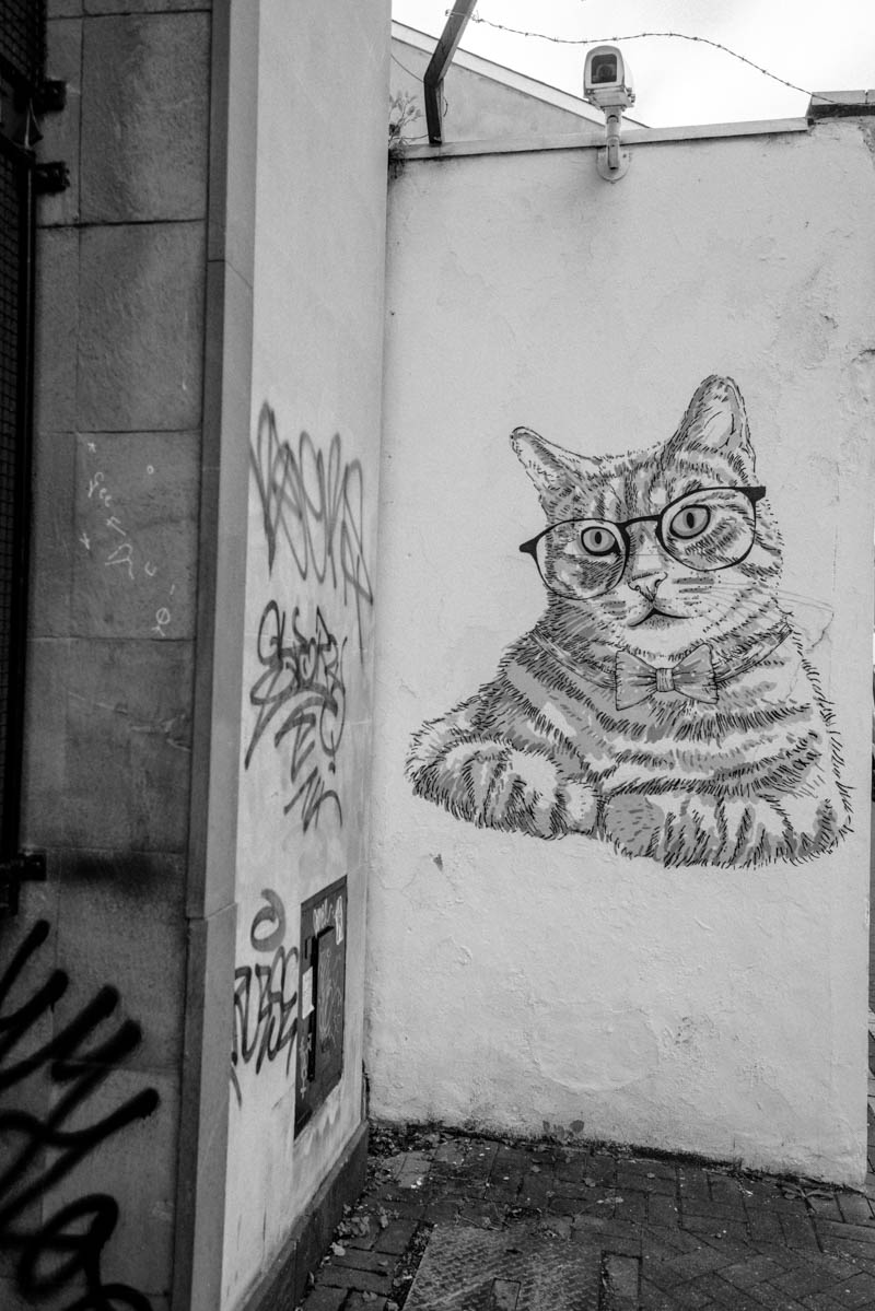 A quick guide to the Pentax DSLR system. Harrison Cameras